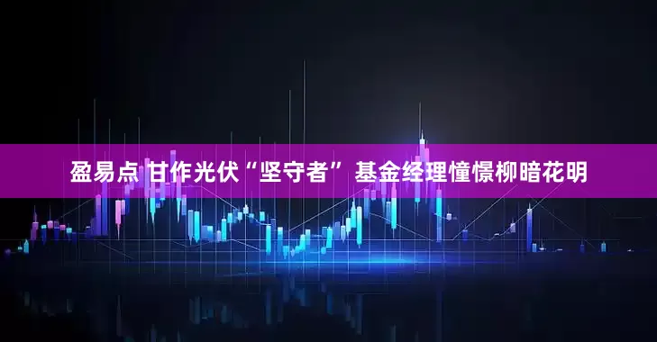 盈易点 甘作光伏“坚守者” 基金经理憧憬柳暗花明