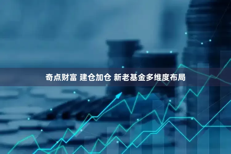 奇点财富 建仓加仓 新老基金多维度布局