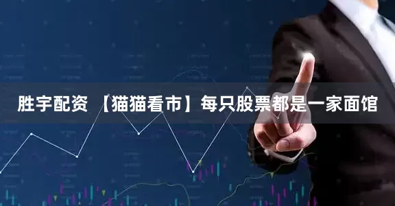 胜宇配资 【猫猫看市】每只股票都是一家面馆