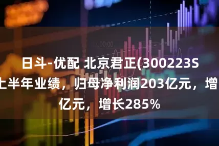 日斗-优配 北京君正(300223SZ)发布上半年业绩,归母净利润203亿元,增长285%